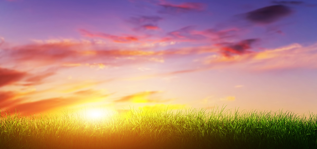 Information for Families